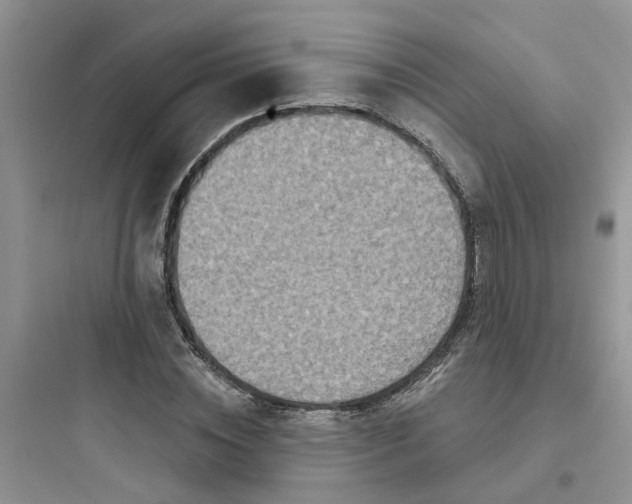 X0000097650828200803211854