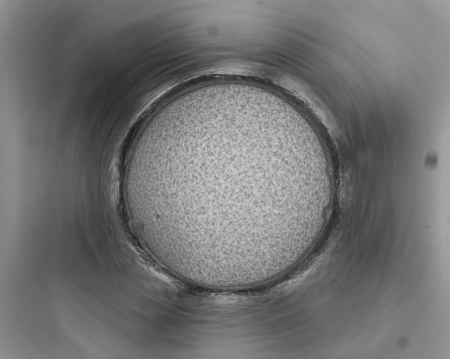 X0000097650829200803211854