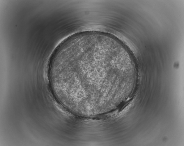 X0000097650830200803211854