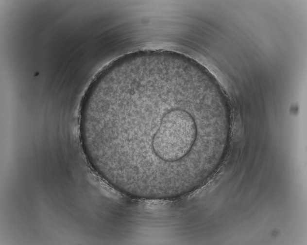 X0000097650832200803211854