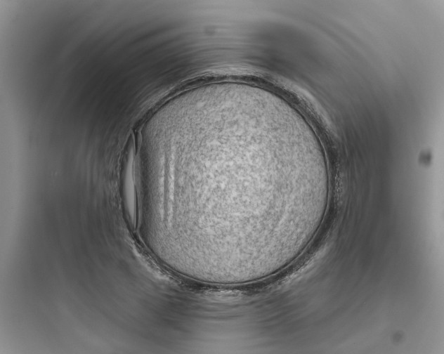 X0000097650833200803211854