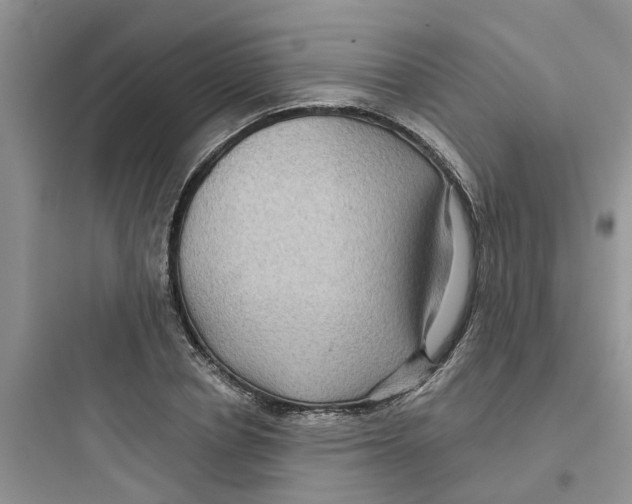 X0000097650834200803211854