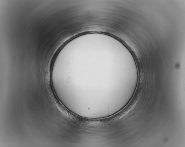 X0000097650837200803211854