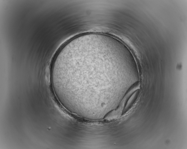 X0000097650838200803211854