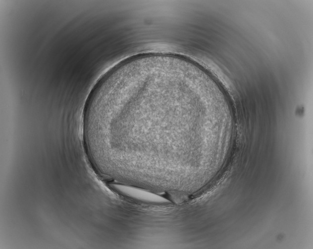 X0000097650839200803211854