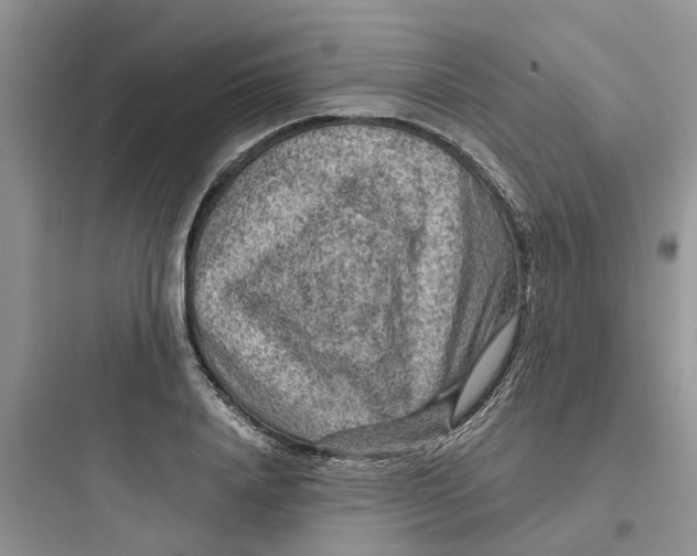 X0000097650840200803211854