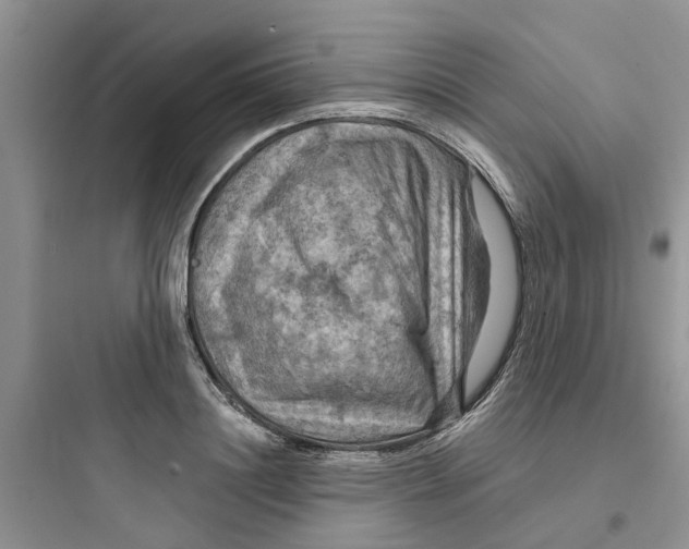 X0000097650844200803211854