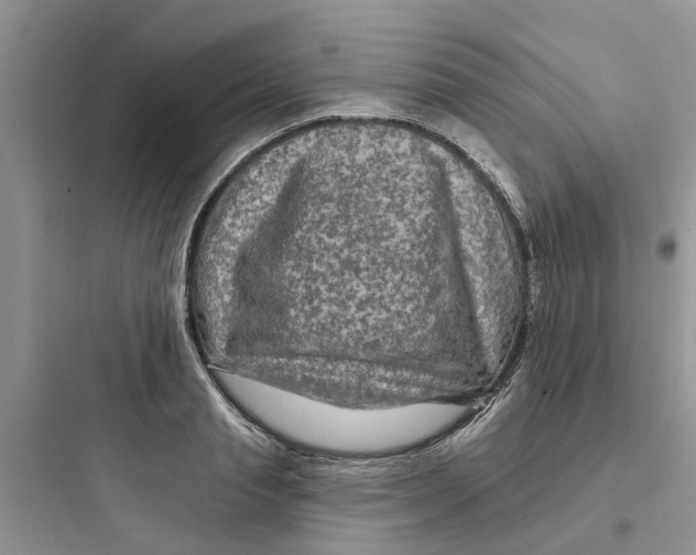 X0000097650845200803211854