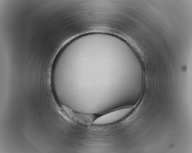 X0000097650846200803211854