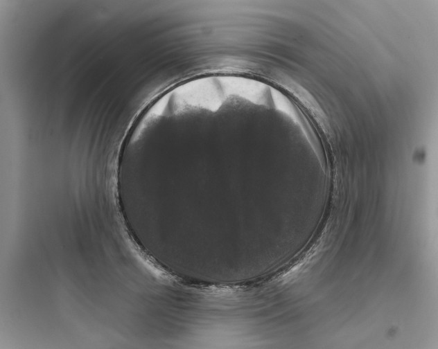 X0000097650850200803211854