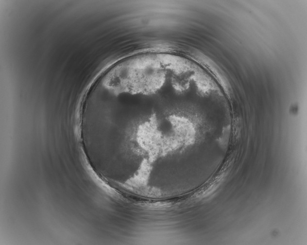 X0000097650851200803211854