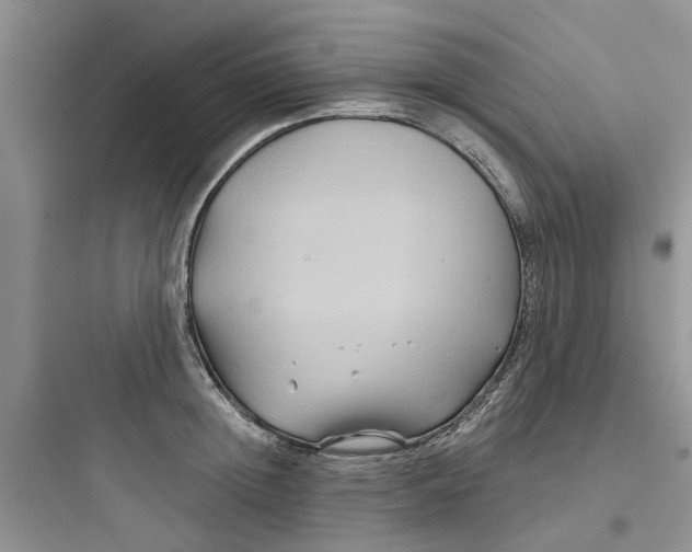 X0000097650852200803211854