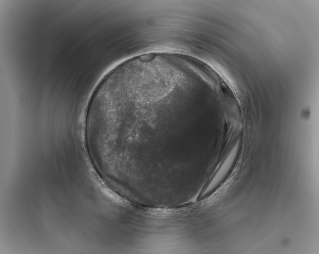 X0000097650854200803211854