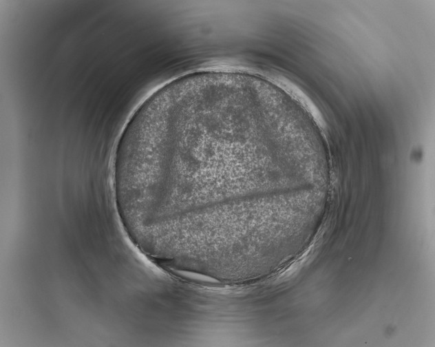 X0000097650855200803211854