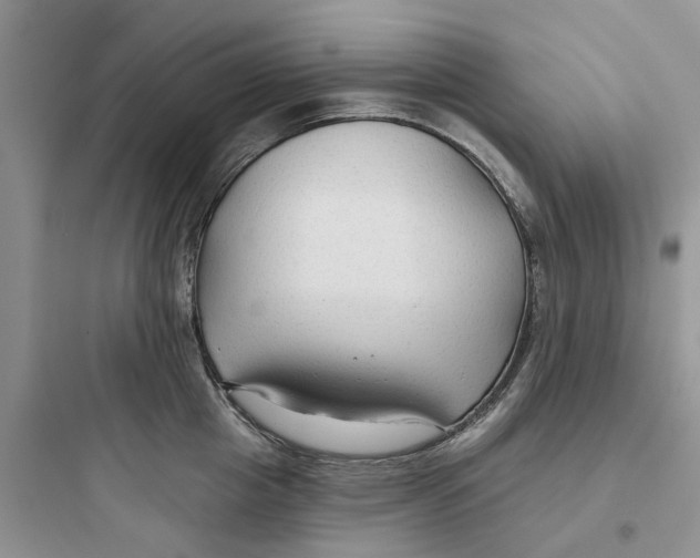 X0000097650857200803211854