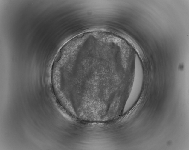 X0000097650858200803211854