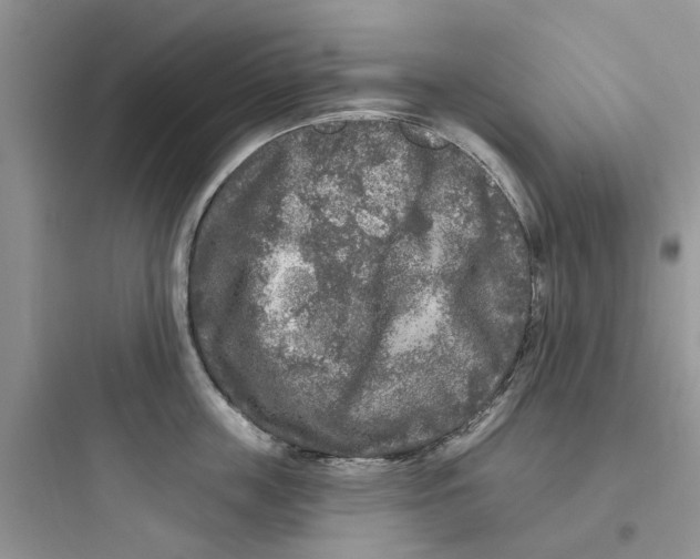 X0000097650859200803211854