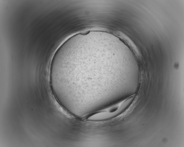 X0000097650860200803211854