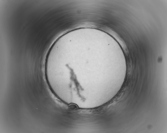 X0000097650861200803211854