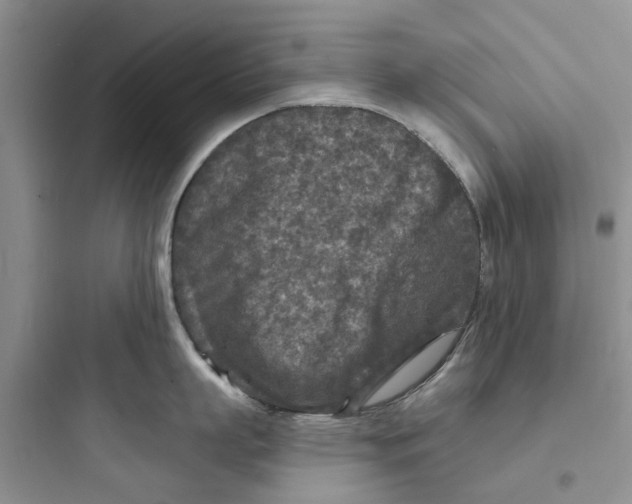 X0000097650863200803211854