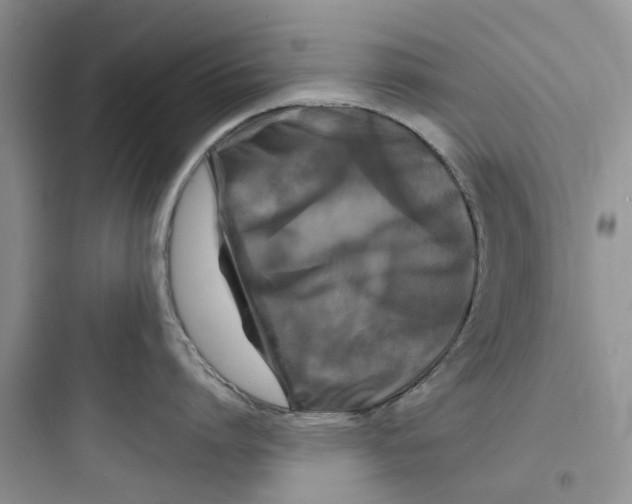 X0000097650864200803211854