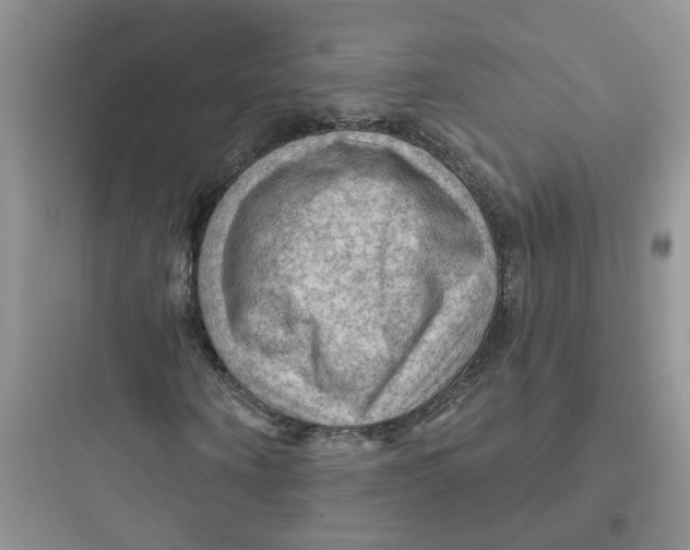 X0000097650866200803211854