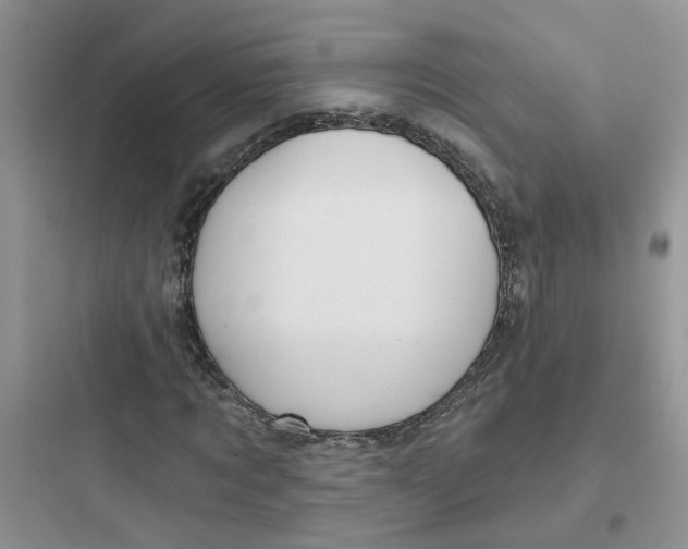 X0000097650869200803211854