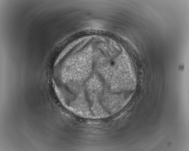 X0000097650870200803211854