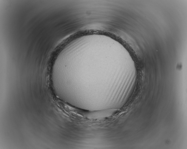 X0000097650872200803211854