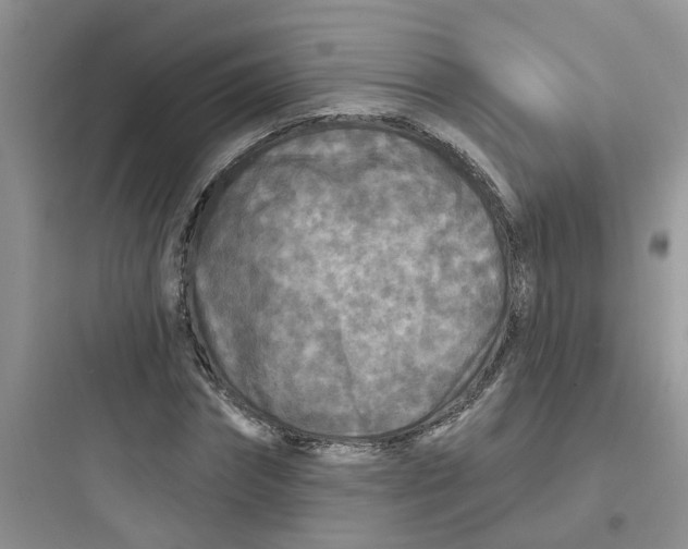 X0000097650874200803211853