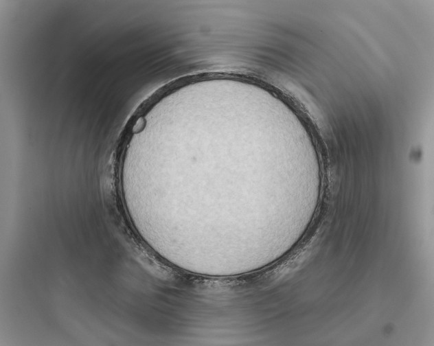 X0000097650875200803211853