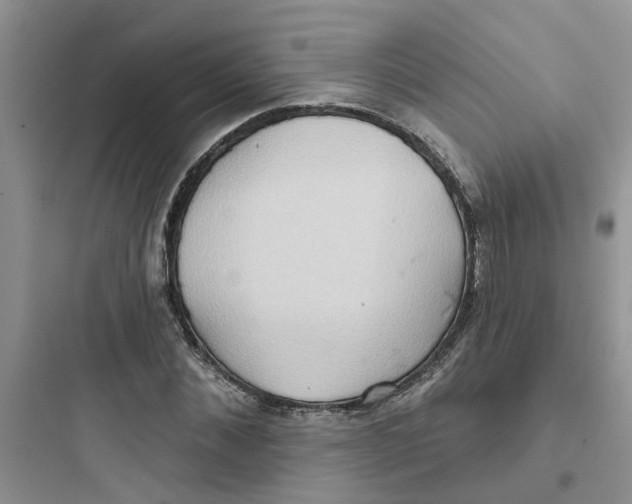 X0000097650876200803211853