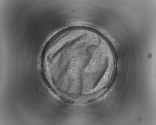 X0000097650877200803211853