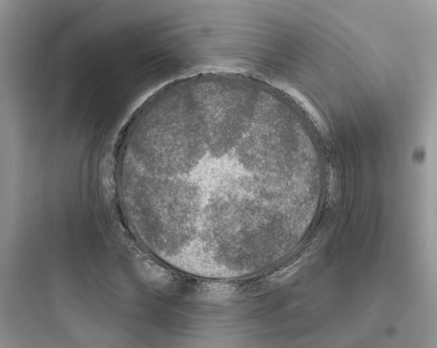 X0000097650878200803211853