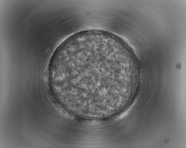 X0000097650879200803211853