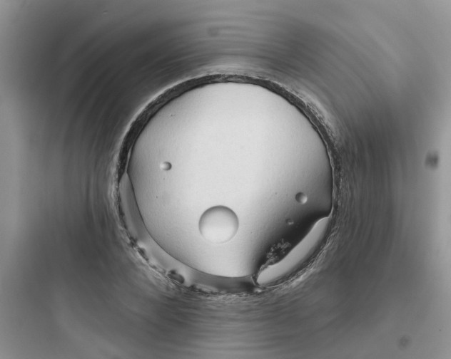 X0000097650880200803211853