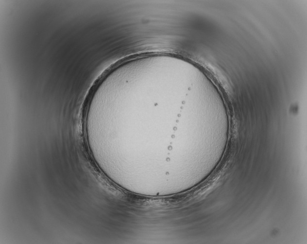 X0000097650883200803211853