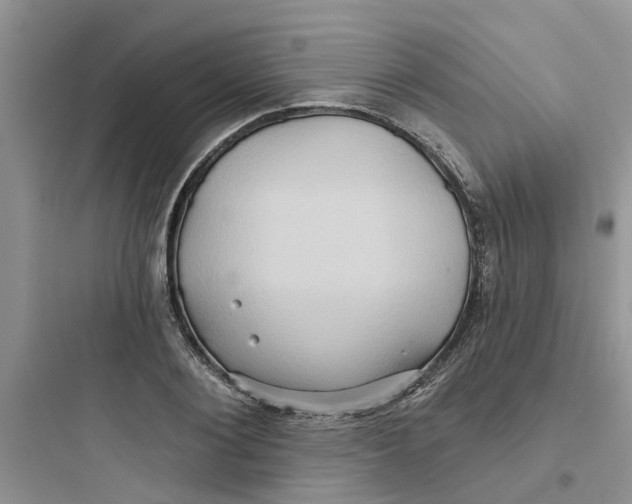 X0000097650884200803211853