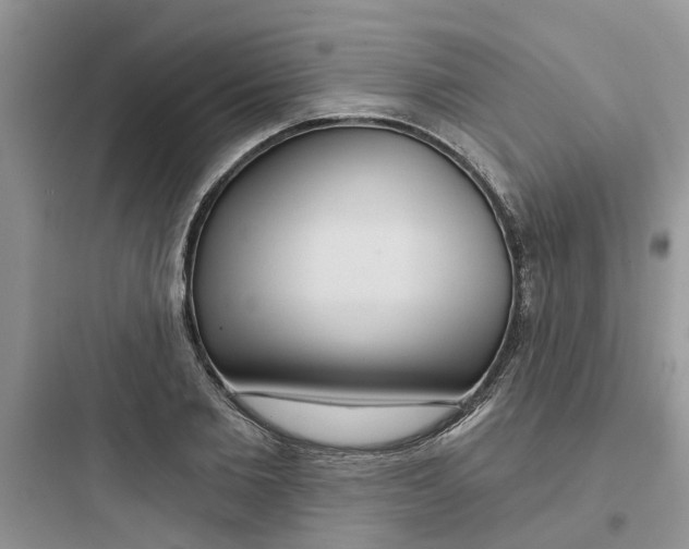 X0000097650885200803211853