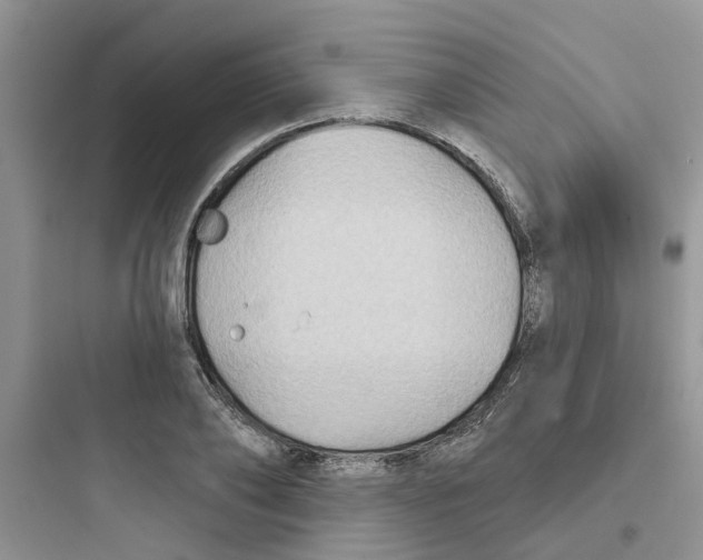 X0000097650886200803211853