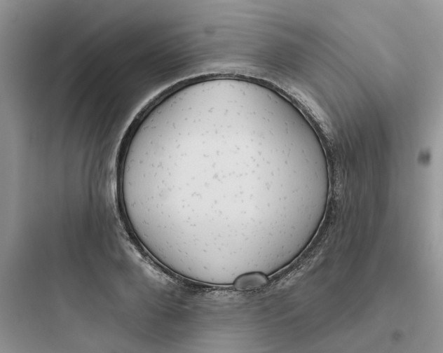 X0000097650888200803211853