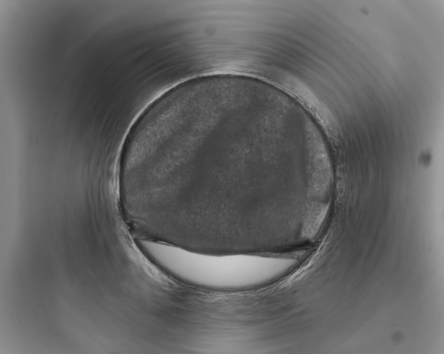 X0000097650892200803211853