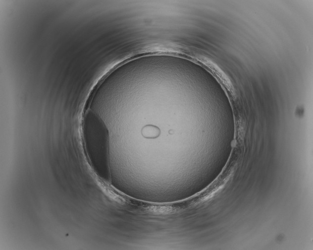 X0000097650893200803211853