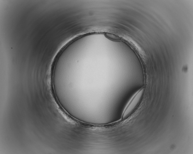 X0000097650894200803211853