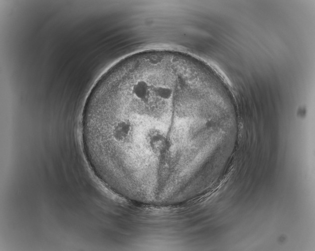 X0000097650895200803211853