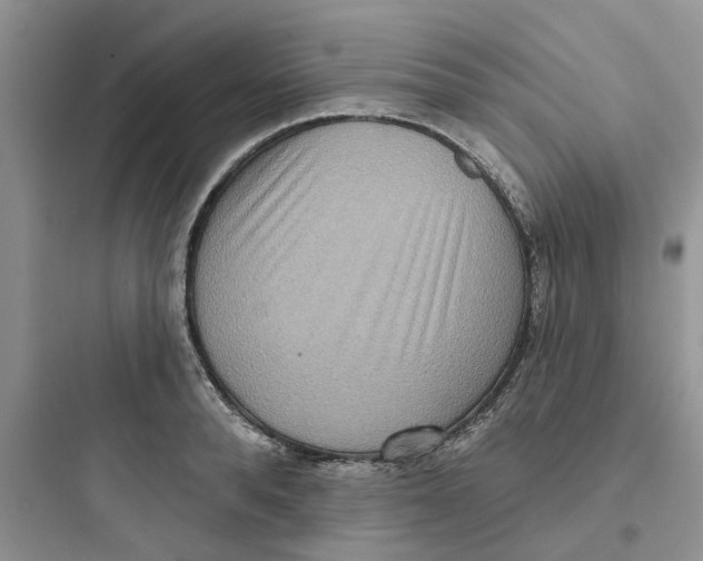 X0000097650896200803211853