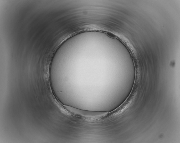 X0000097650897200803211853