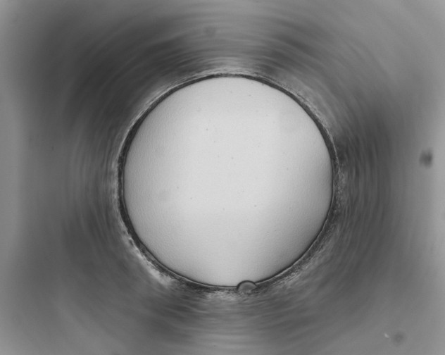 X0000097650898200803211853