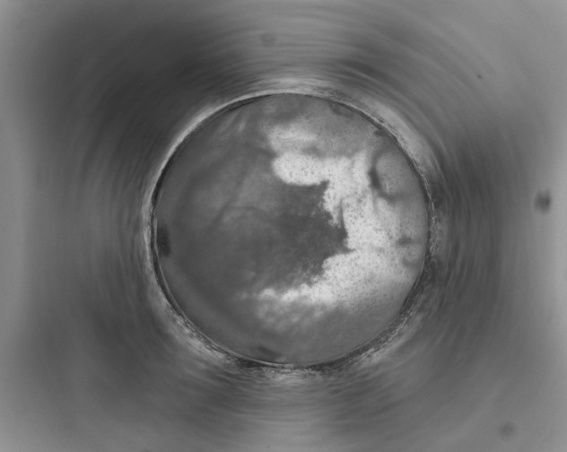 X0000097650899200803211853