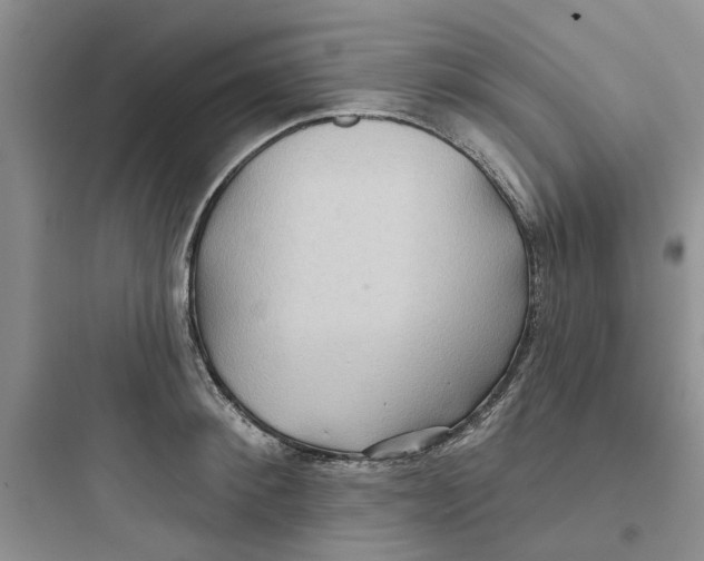 X0000097650900200803211853